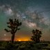 Great Basin School of Photography (@basinschool) Twitter profile photo Great Basin School of Photography (@basinschool) Twitter profile photo