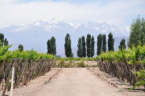 CatherineDC's profile picture. global health @GatesHealth - traveler - fly fisher - amateur chef - all tweets are my own