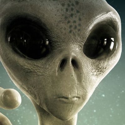 BitcoinsCrypts's profile picture. it’s all a game