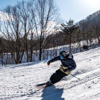 あき@へっぽこfreeskier(@aki0n0q_bo2) 's Twitter Profile Photo