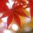 1936_momiji