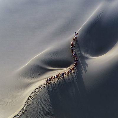 MrAbdulsalam999's profile picture. اللهم أعوذُ بك أن أَضِلَّ أو أُضَلَّ أو أَزِلَّ أو أُزَلَّ أو أَظْلِمَ أو أُظْلَمَ أو أَجْهَلَ أو يُجْهَلَ عَلَيَّ