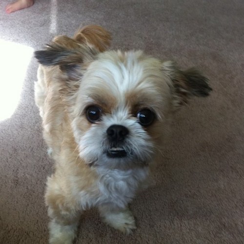 oldskewl08's profile picture. 