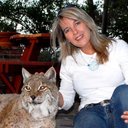 Carol Sue Stoddard - @CarolSStoddard - Twitter