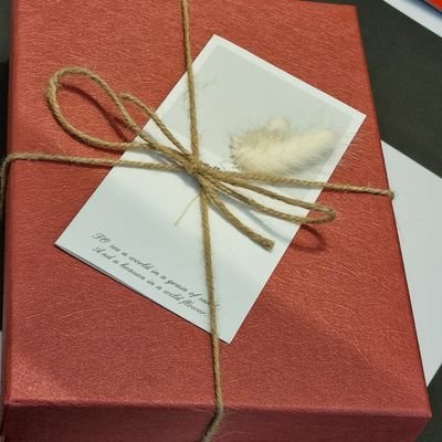 cG85EpcsLpj3tbv's profile picture. 