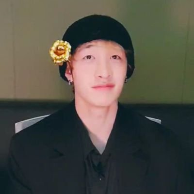 stray kids everywhere all around the world