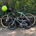 Holger Langhof (@holgerlanghof) Twitter profile photo