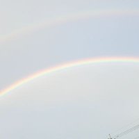 sky. (@thendofsky_510) 's Twitter Profile Photo sky. (@thendofsky_510) 's Twitter Profile Photo