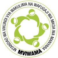 MVIWAMA(@Mviwama_2021) 's Twitter Profileg