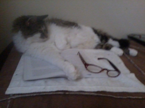 Sensual_Feline's profile picture. Artist, jewelry designer, writer, working on a book of short stories and a book of erotica illustrated by me