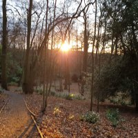 CazB (@cazb52) 's Twitter Profile