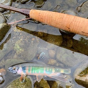 釣りも山も多摩川系が好きです