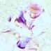 fernandogod (@1fernandofedi) Twitter profile photo fernandogod (@1fernandofedi) Twitter profile photo