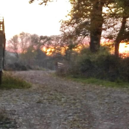 benrostan3's profile picture. 