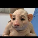 Noah Bray - @Noah__Bray03 - Twitter