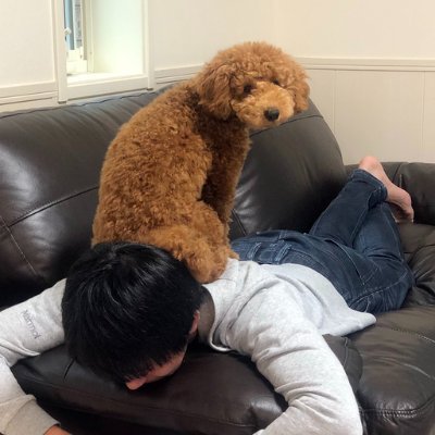 Half 1:27:53 (2017/01 Chiba) Full 3:18:18 (2017/02 Kochi) Urtra(100km) 11:37:49 (2018/06 Tokyo) I work at AWS Japan. All opinions are my own.