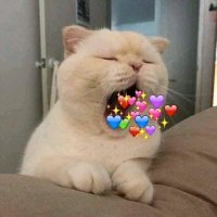 ♡ ส่งของในไทยทุกวัน 🤍🧺 หิ้วเกาหลี (@hwishy_shop) 's Twitter Profile