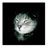 abbybenceomg's profile image