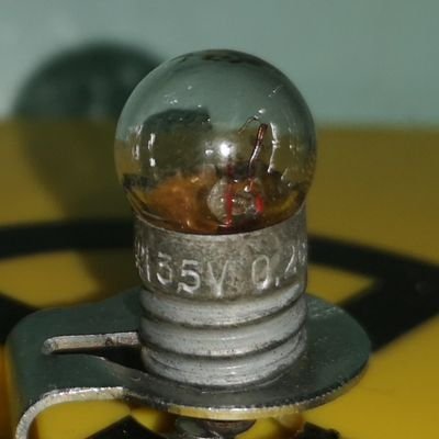 wolfludmila's profile picture. 