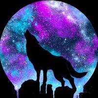 tbo (@t45014971) 's Twitter Profile