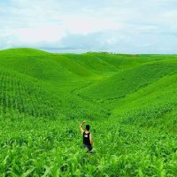 Ozan (@edy03482811) 's Twitter Profile