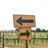 Likey_Bikey's profile image