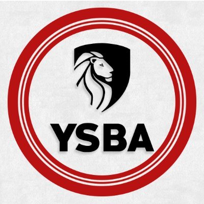 #StartYourSeason🏆 | York Sports Business Association 📈 | Work for Your Fav Sports/Media/Entertainment Org! 💡 | #PassionDrivesGreatness