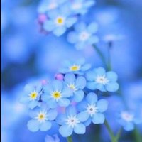 mam (@hontounokotomam) Twitter profile photo