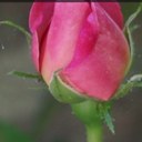 Katy Robbins - @katyjr6792 - Twitter