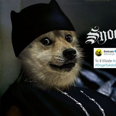 Im here for the DOGECOIN🐶COMMUNITY!!!