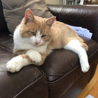 Phil Watson (@gloucester2013) 's Twitter Profile