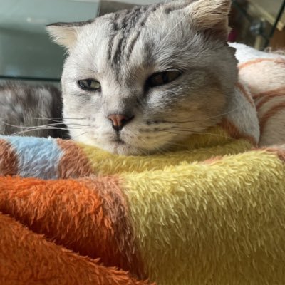 wendywwwwwwww's profile picture. 