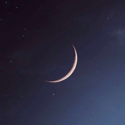 mn02_10's profile picture. ...