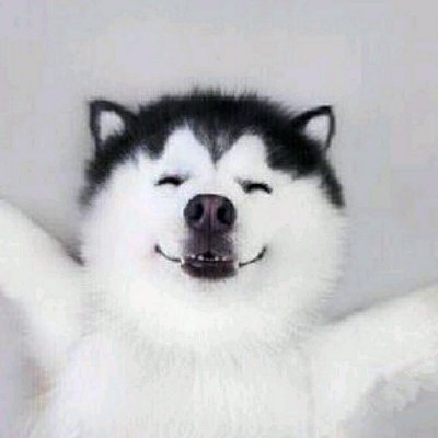 HanselChiang's profile picture. 呱呱呱～
