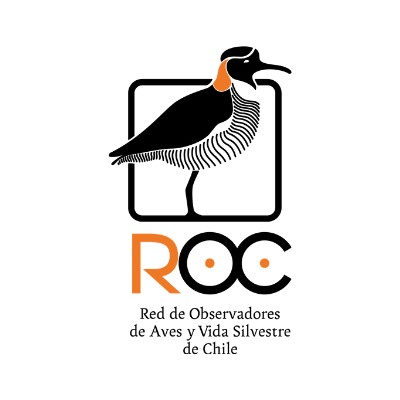 ROC_CL's profile picture. Conservando las aves de Chile
