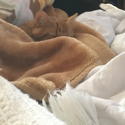 pinkdiamond1974's profile picture. just me with my own opinions and thoughts 💭