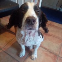 Jason F (@jason4n91) 's Twitter Profile