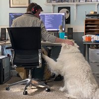 Trevor (@qorthos) 's Twitter Profile Photo Trevor (@qorthos) 's Twitter Profile Photo