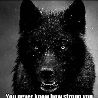 cleareyeview66's profile picture. things that matter 😌