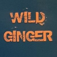 Wild Ginger(@WeAreWildGinger) 's Twitter Profile Photo