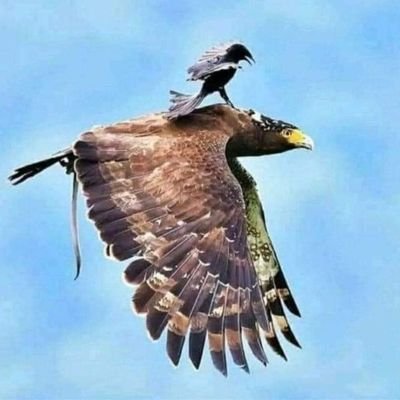 #रुतबा तो यू ही #बरकरार रहेगा
#उजाड़ ने #वाले भले ही
#दिन_रात एक कर दे 😎......
#Choudhary_ji 😍🙏