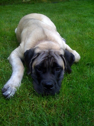 TrudyAnnWeiss's profile picture. 