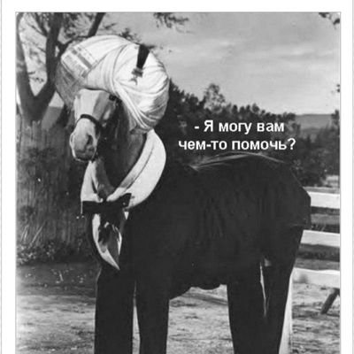 Cepxuyc's profile picture. 