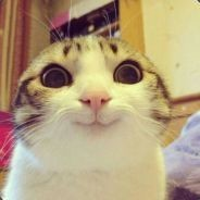 Nayz (@nayzcs) 's Twitter Profile