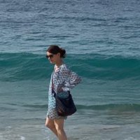 Denise (@wileycoyte) 's Twitter Profile