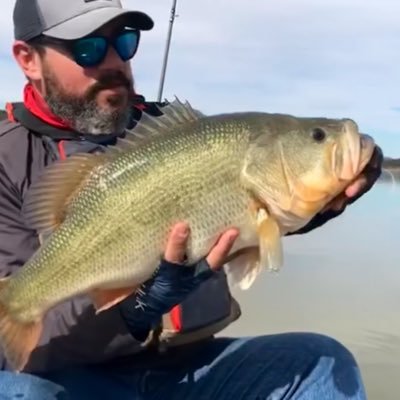 FerMendozaCano's profile picture. 