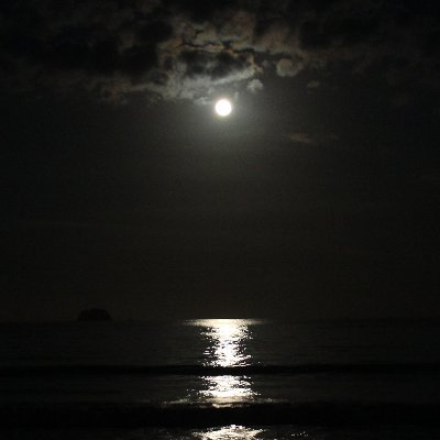 E X P L O R I N G T H E D A R K N E S S Exploredark Twitter