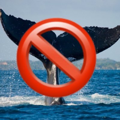 donttailme1's profile picture. You are not allowed to tail my picks. Nor do you want to. | 1-4 |