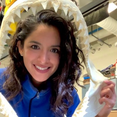 PhD candidate at NTNU, studying fish ecophysiology, thermal performance, ocean acidification 🦈🐟🐠 | former Fulbrighter in STEM🇵🇪🇺🇸🇳🇴🌈she/her