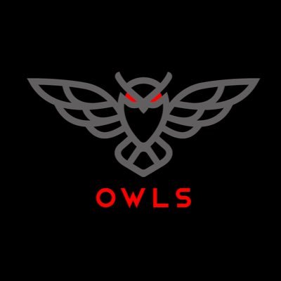 owlsinvesting Profile Picture